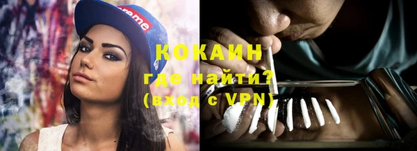 кокс Арсеньев