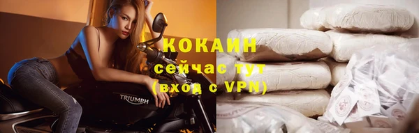 spice Аркадак