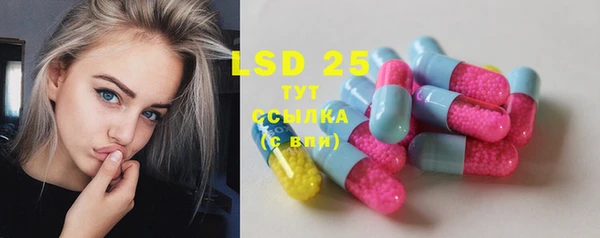 spice Аркадак