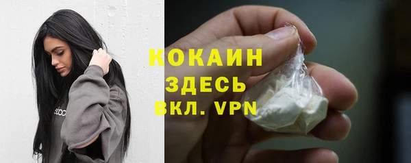 кокс Арсеньев