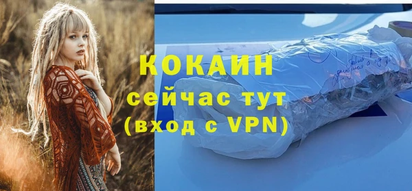 кокс Арсеньев