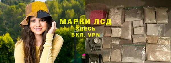 spice Аркадак
