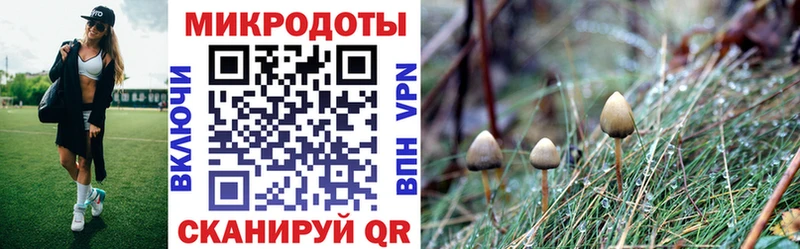 Галлюциногенные грибы Psilocybe  даркнет наркотические препараты  Фатеж  kraken ONION 
